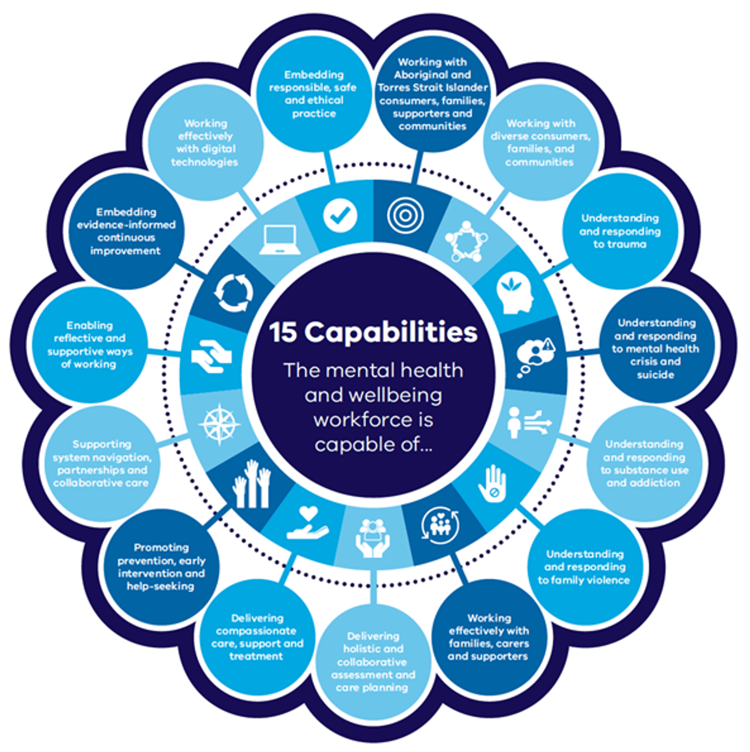 Infographic showing 15 capabilities.
