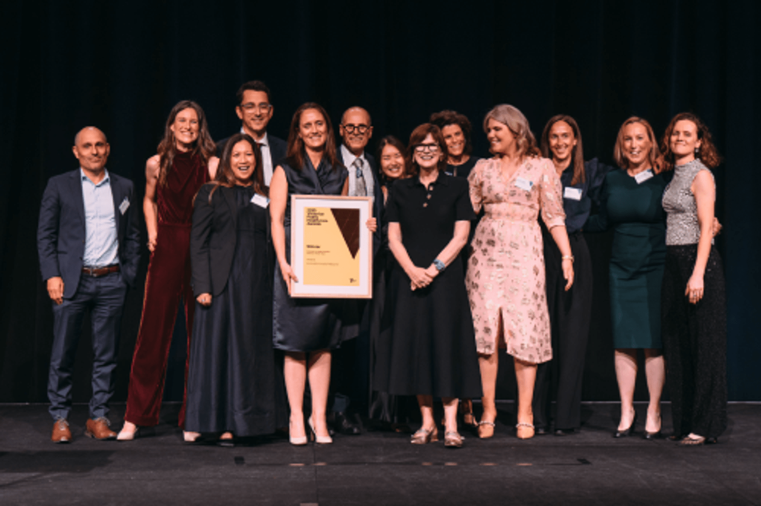 VPHA winners on stage accepting their awards