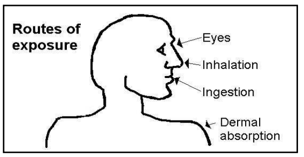 Routes of exposure