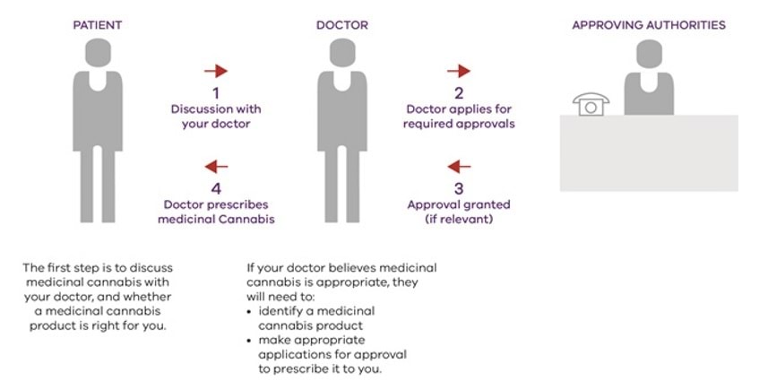 Diagram of the approval process for obtaining medicinal cannabis as a member of the public.
